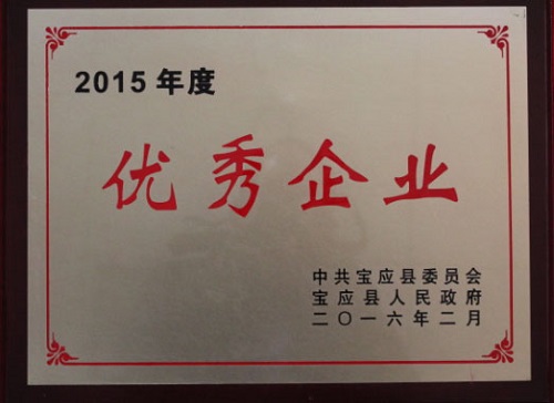 公司被寶應(yīng)縣人民政府授予2015年度“優(yōu)秀企業(yè)”榮譽(yù)稱號