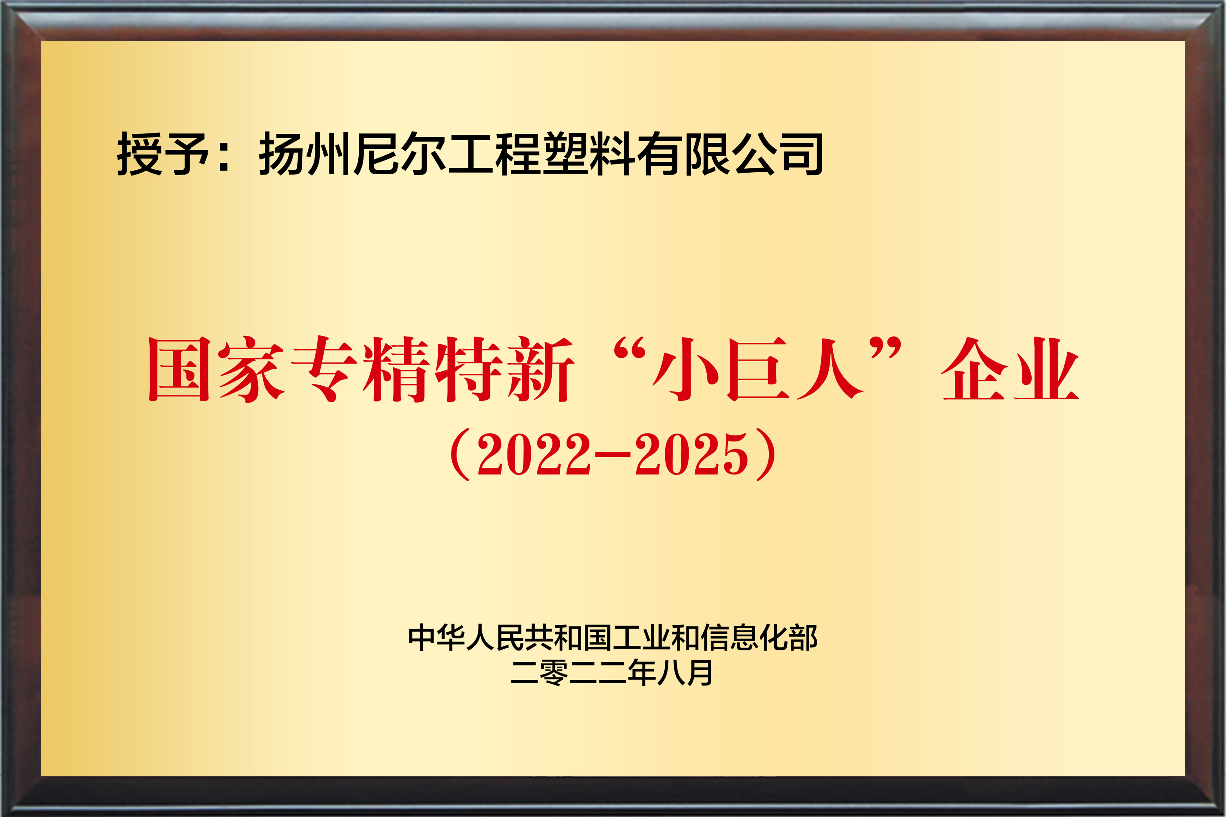 國家專精特新小巨人企業(yè)